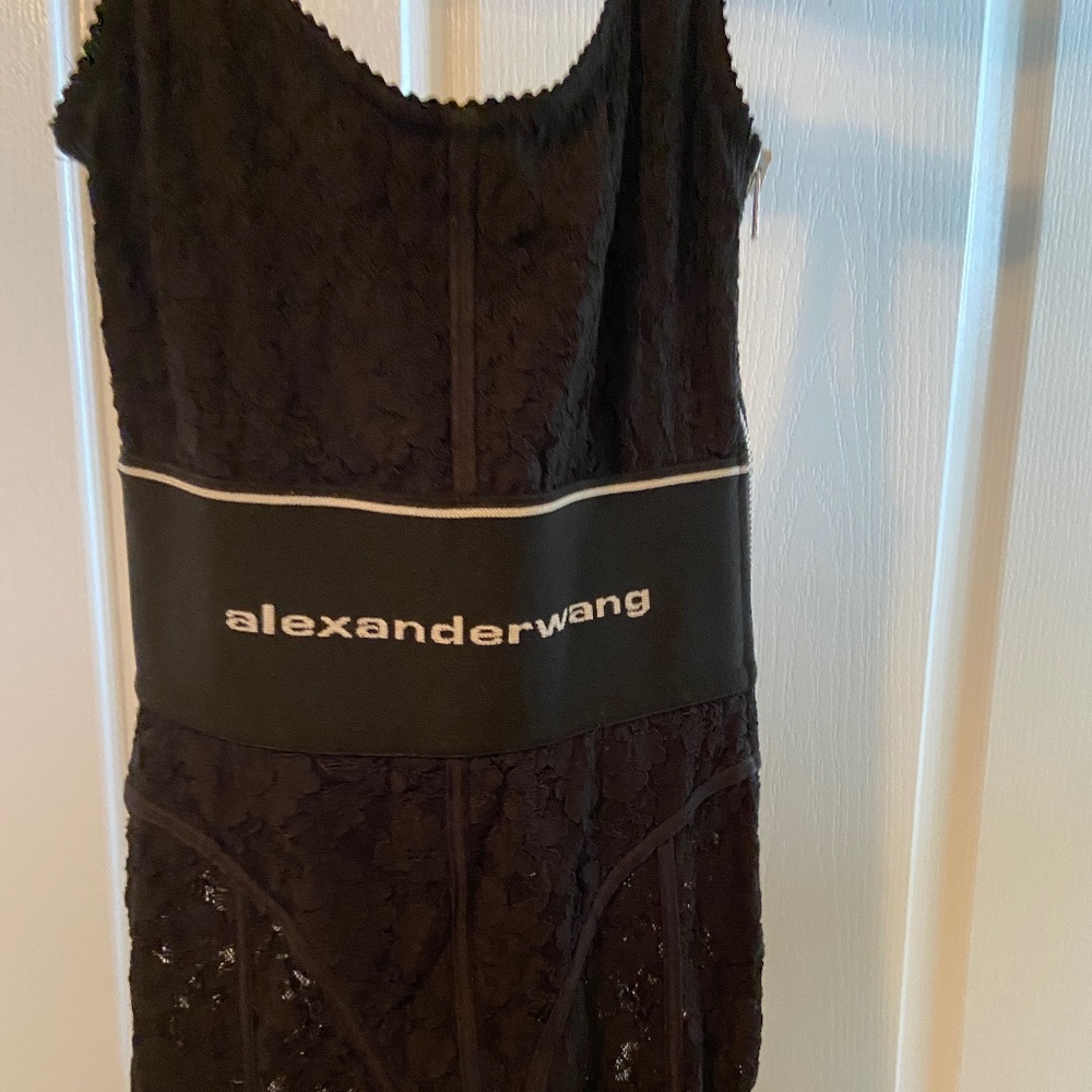 Alexander wang